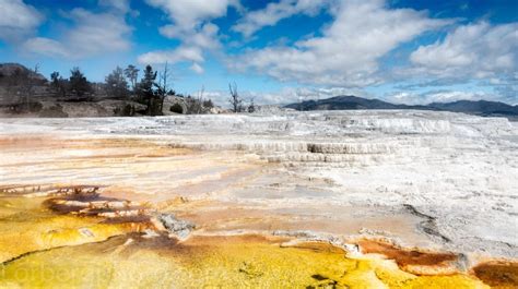 yellowstone national park weather in march